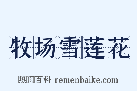 牧场雪莲花是什么意思的图片